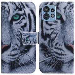 Tiger Head