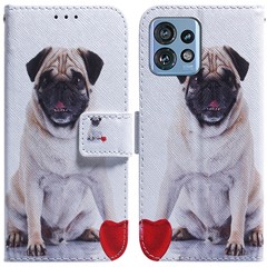 Pug