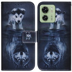Dog and Wolf