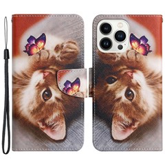 Butterfly/Cat