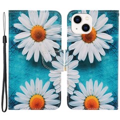 Chrysanthemum