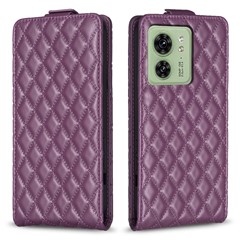 Dark Purple
