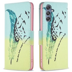 Feather and Birds