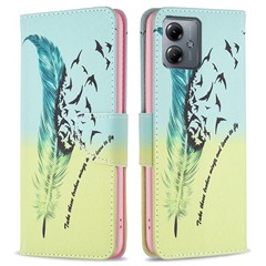 Feather and Birds