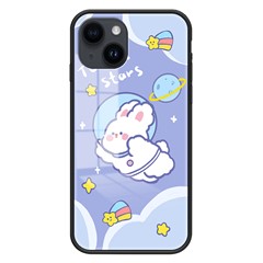 Aerospace Rabbit