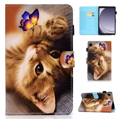 Butterfly and Cat