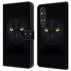 Black Cat