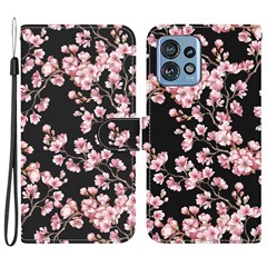 Plum Blossom