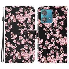 Plum Blossom