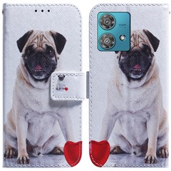 Pug