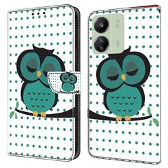 Sleeping Owl