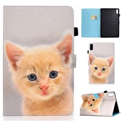 Cute Cat