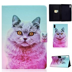 Pink Cat