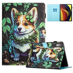 Corgi