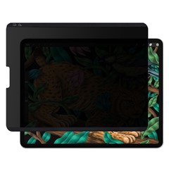 For iPad Air (2020) / (2022) / iPad Pro 11 (2022) / (2021) / (2020) Anti-peep Privacy Protection Screen Protector Magnetic Absorption Anti-glare Full Coverage PET Film