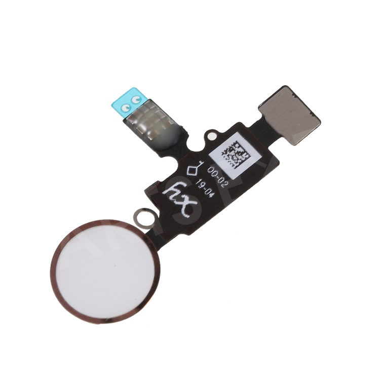 

HX OEM Home Button Flex Cable for iPhone 8 / 8 Plus / 7 / 7 Plus - Rose Gold, iPhone 8 Plus 5.5 inch