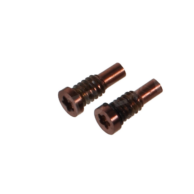 

2PCS/Pack OEM Dock Connector Screws Repair Part for iPhone 8 Plus / 8 - Gold, iPhone 8 Plus 5.5 inch