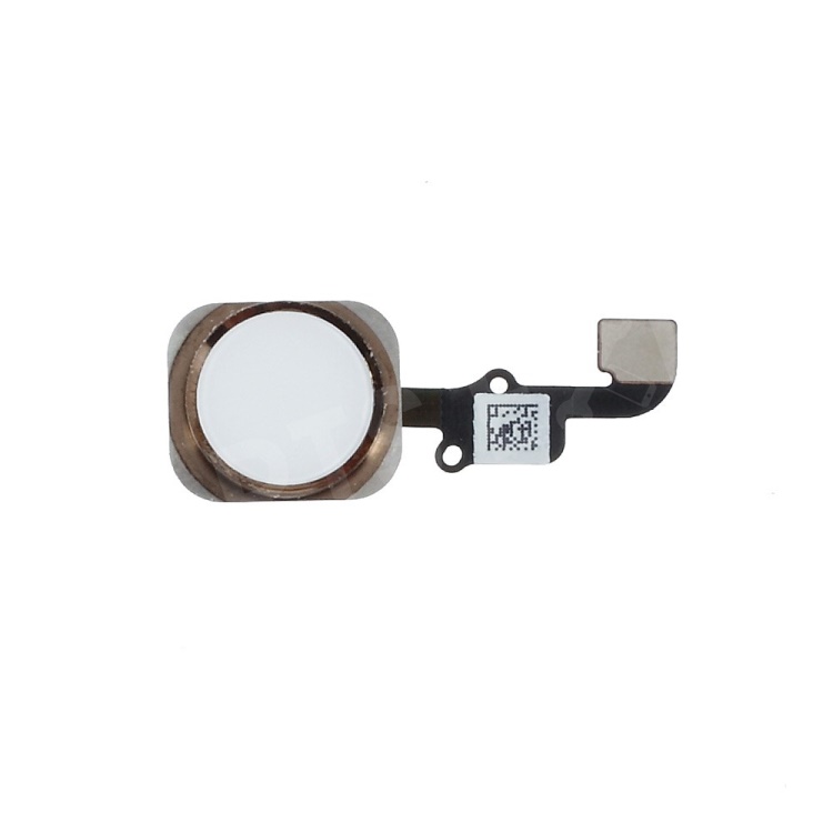 

White / Gold Color OEM Home Button with PCB Membrane Flex Cable Replacement for iPhone 6 4.7 Inch, iPhone 6 4.7-inch